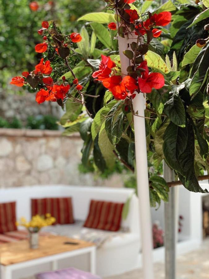 Holiday Home Ali Piqeras Zewnętrze zdjęcie